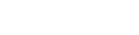 pieter de buysser naam logo